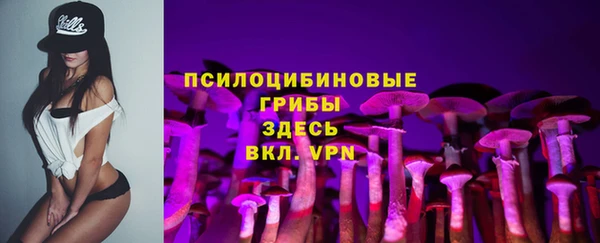 MDMA Premium VHQ Алзамай