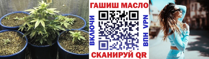 ТГК концентрат Макушино
