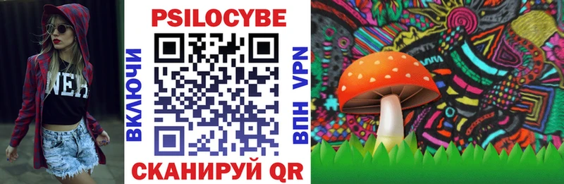 купить   Макушино  Псилоцибиновые грибы MAGIC MUSHROOMS 